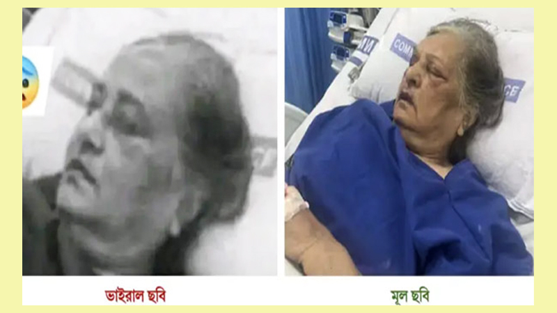 ভাইরাল এই ছবিটি শেখ হাসিনার নয়
