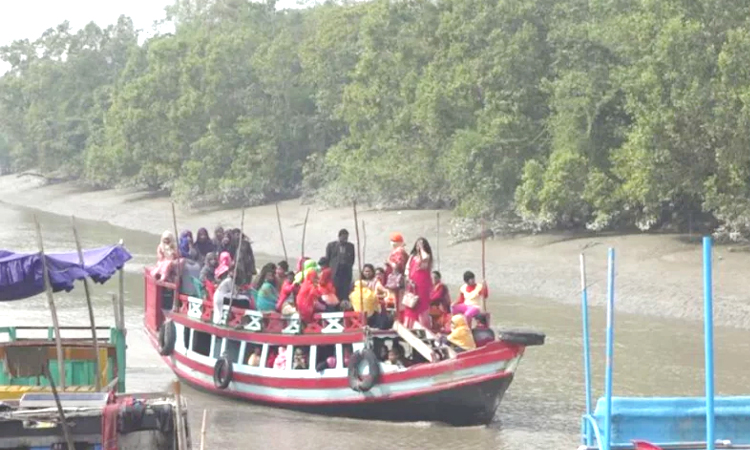 নতুন বছর উদযাপনে সুন্দরবনে অর্ধশতাধিক ট্যুরিস্ট লঞ্চের ভিড়