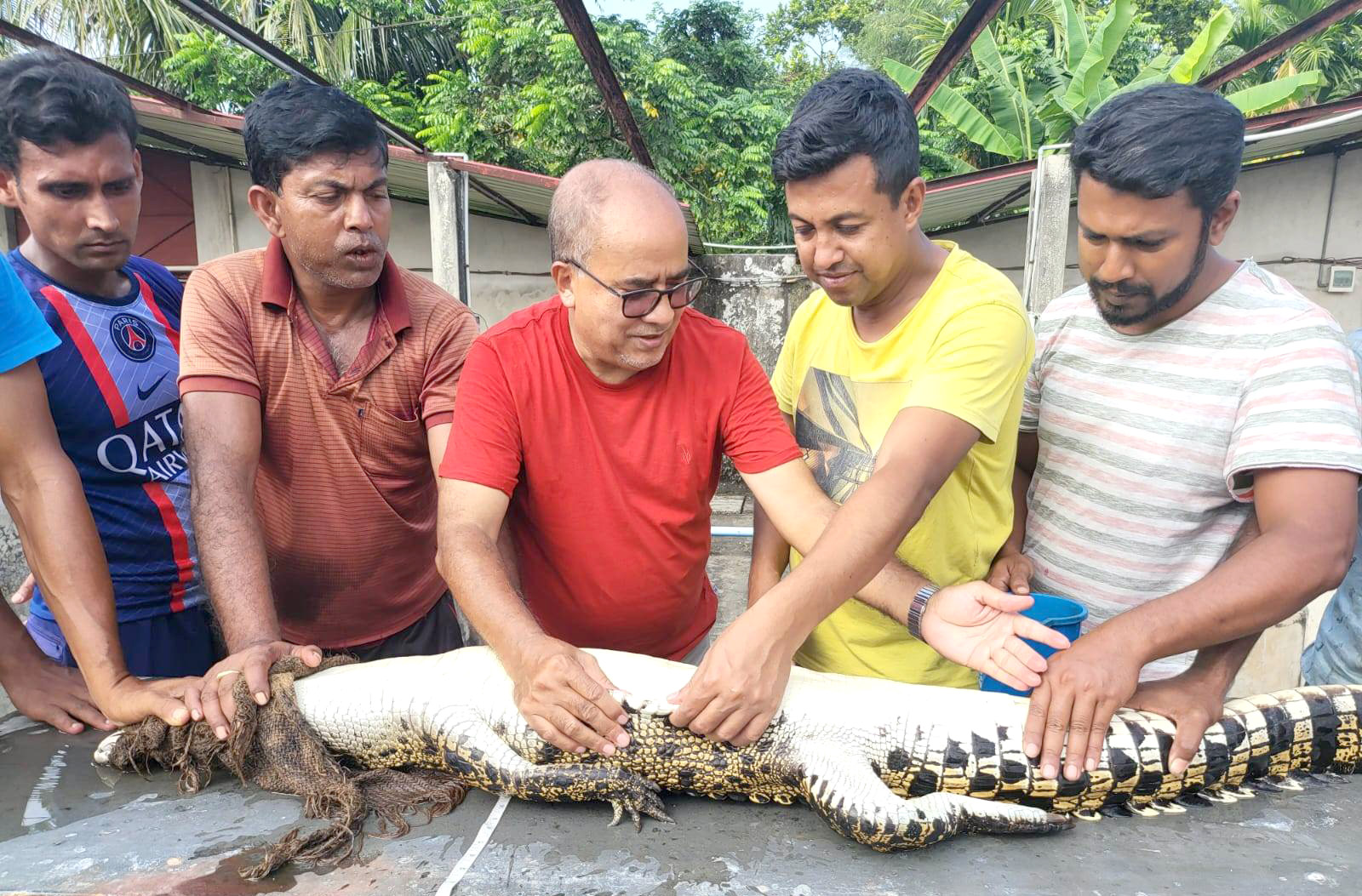 পর্যটকদের জন্য আগামীকাল থেকে উন্মুক্ত রেপটাইলস ফার্ম 