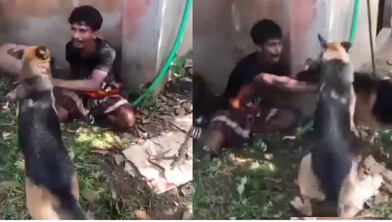 কুমিল্লায় চুরির অভিযোগে যুবককে কুকুর লেলিয়ে নির্যাতন, ভিডিও ভাইরাল
