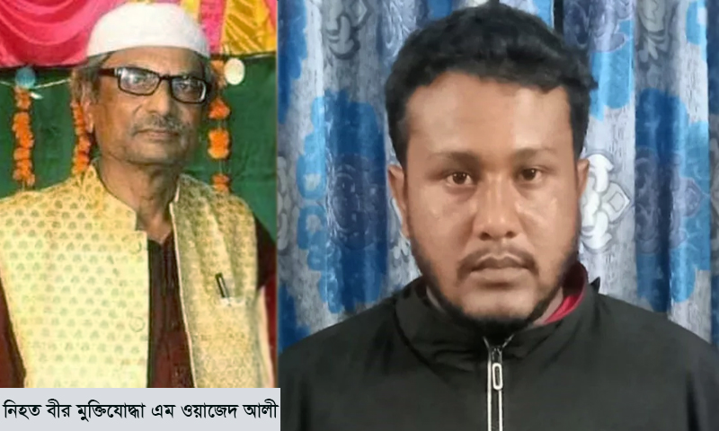 বীর মুক্তিযোদ্ধাকে কুপিয়ে হত্যা: প্রধান আসামি বাবু গ্রেপ্তার