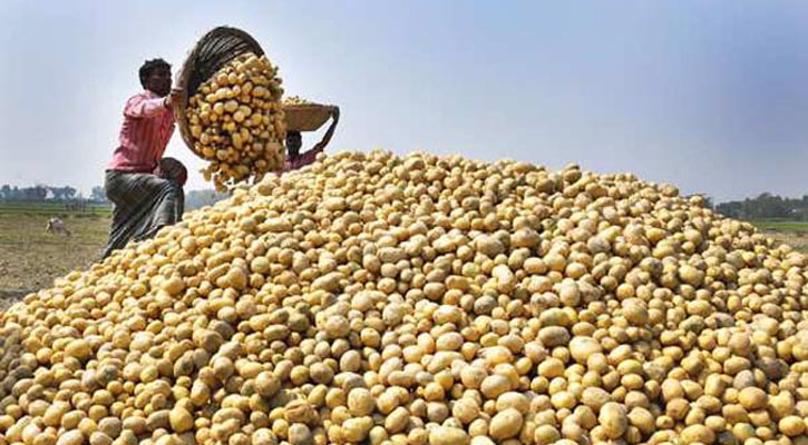 খুচরায় আলুর কেজি ৩০ টাকা নির্ধারণ, দাম বেশি রাখলে ব্যবস্থা