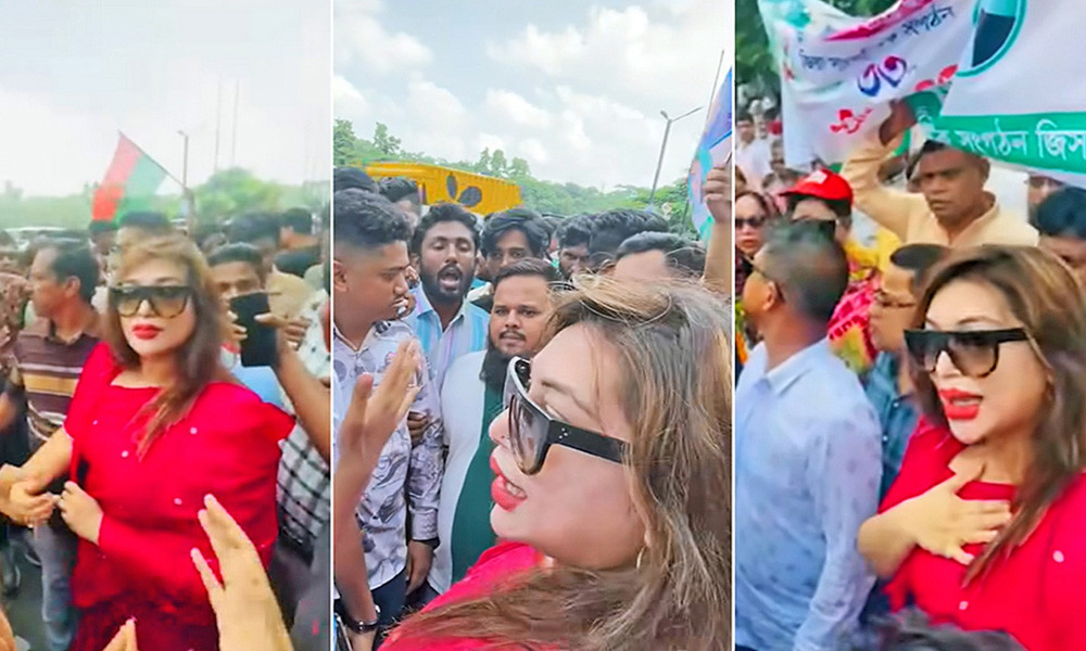 শহীদ জিয়াউর রহমানের সমাধিতে নেতাকর্মীদের তোপের মুখে ডা. সাবরিনা