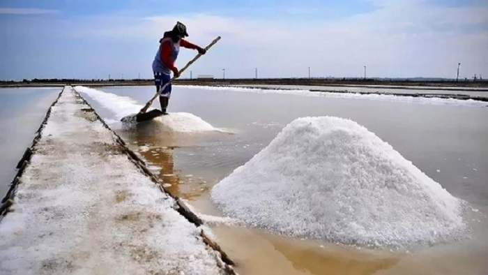 এবার লবণ আমদানির অনুমতি