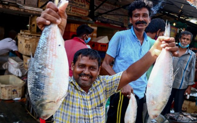 ভারতের বাজারে বাংলাদেশি ইলিশে সয়লাব