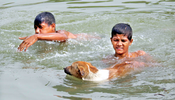 প্রচণ্ড গরমে বিপর্যস্ত জনজীবন