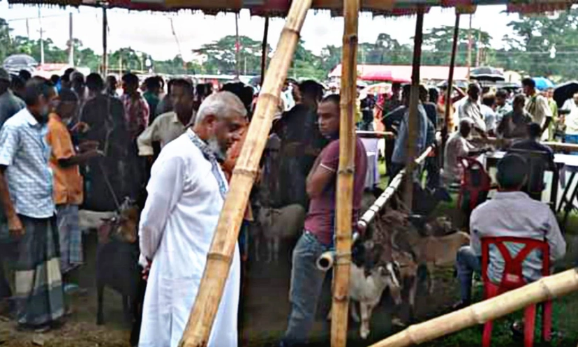 ভোটের মাঠ ছেড়ে কোরবানির হাটে আরিফ, কিনলেন ছাগল