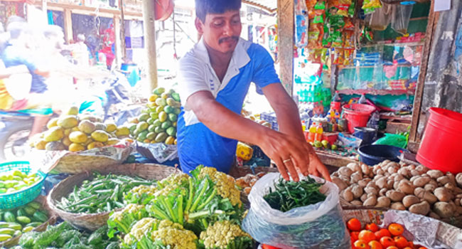 কাউখালীতে কাঁচামরিচের কেজি ৯০০ টাকা