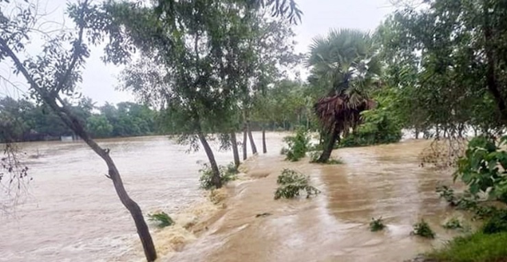 গর্জে উঠেছে তিস্তা, নীলফামারীর ১৫ গ্রাম প্লাবিত