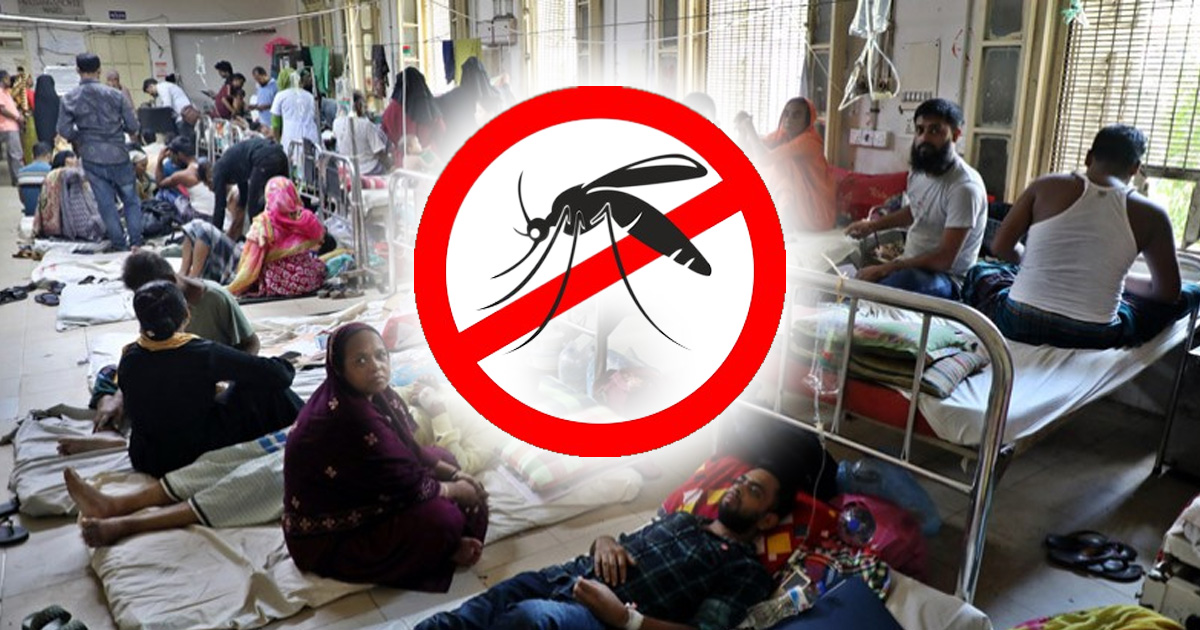 ২৪ ঘণ্টায় ডেঙ্গুতে ১৭ জনের মৃত্যু, হাসপাতালে ৩০৮৪