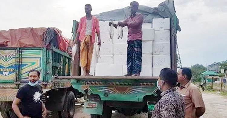 বেনাপোল দিয়ে এক হাজার ৮৭৫ মেট্রিক টন ইলিশ গেল ভারতে
