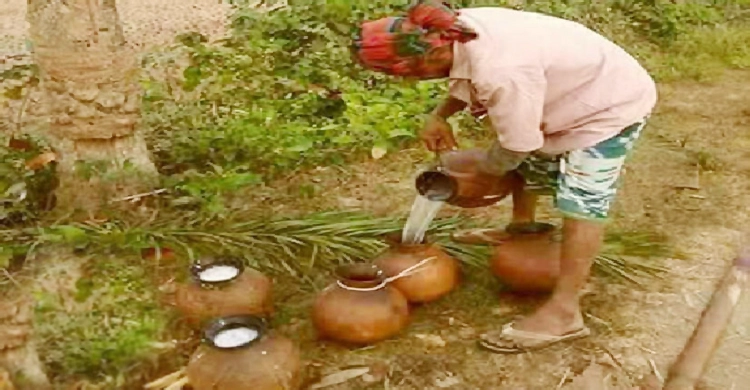 হারিয়ে যাচ্ছে শীতের খেজুর রস