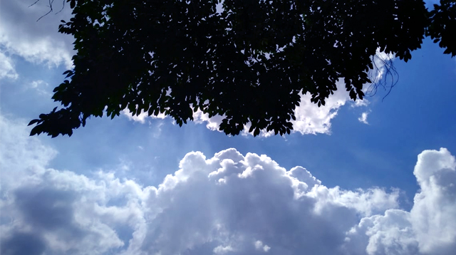 ভালো আছি